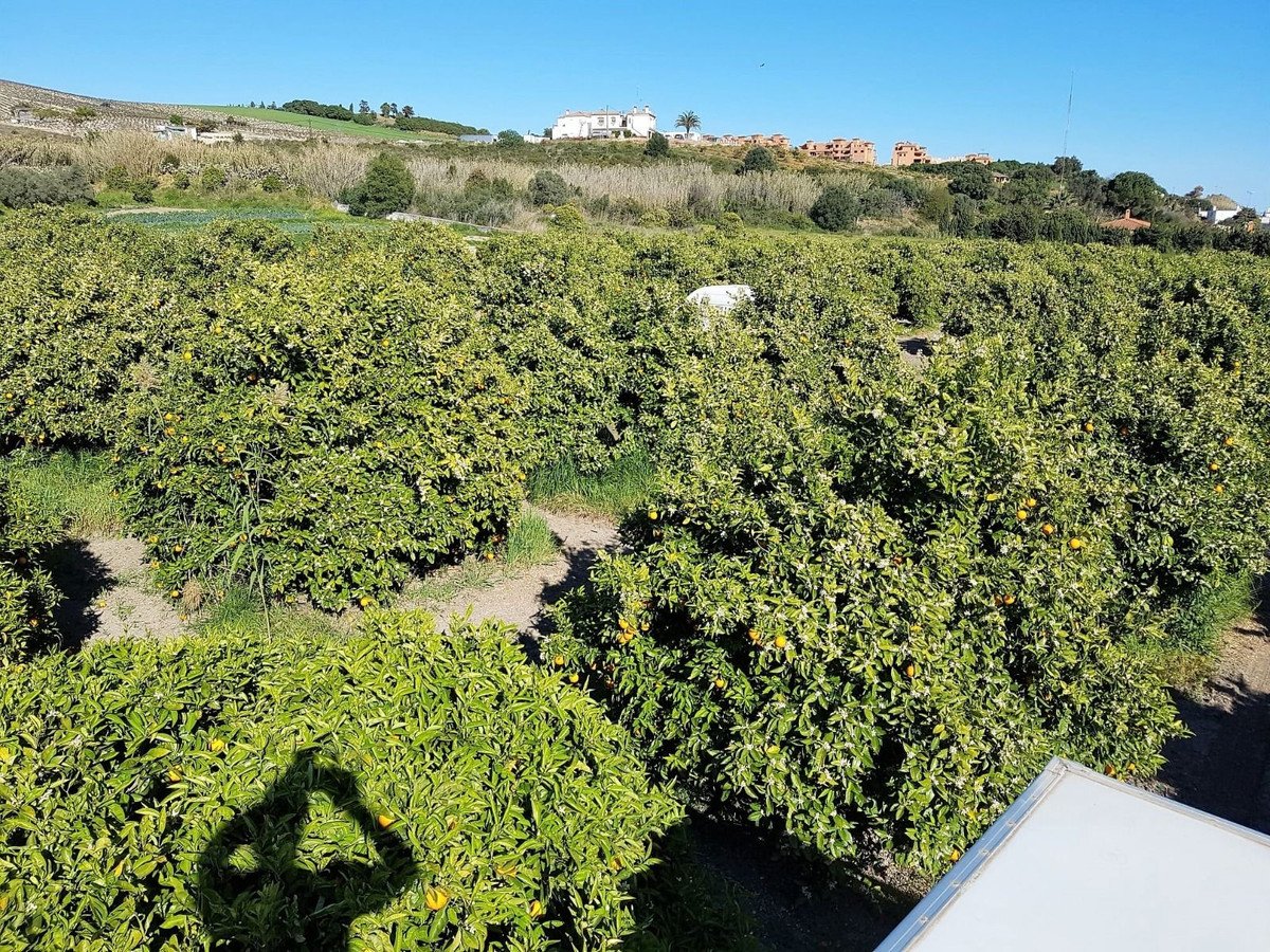 Reality a nemovitosti na Costa del Sol ve Španělsku